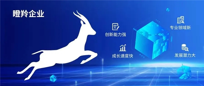 卖家精灵主体云雅科技荣膺成都高新区“瞪羚企业”认证，彰显科技企业创新活力